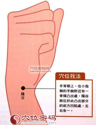 阳谷穴的位置